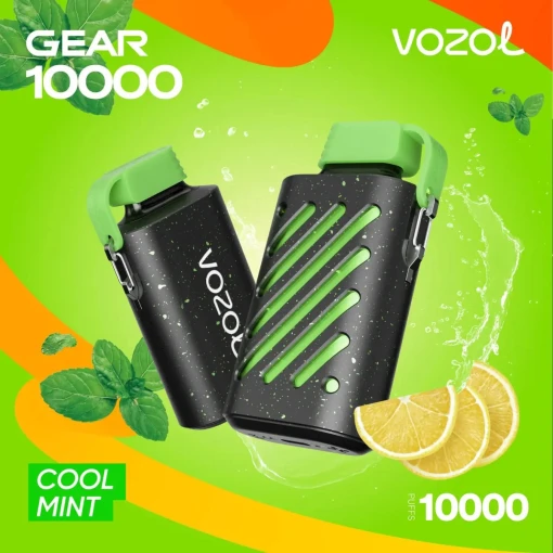 1703546008 vozol gear 10000 puffs 50mg cool mint vozol