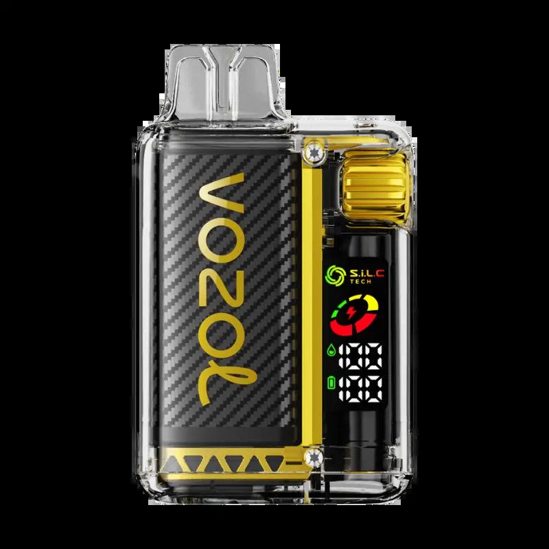 Vozol Disposable Vista 20000 puff - Mango Ice - ( RECHARGEABLE ) - Beta ...