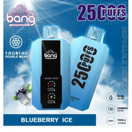 1725577301 24h vape 25000 puffs blueberry ice