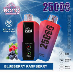 1725577404 bang 25000 puffs 11